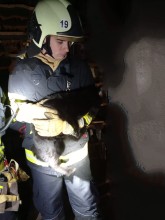 Einsatzfoto Anhang3.jpeg